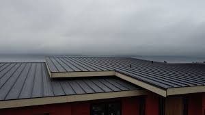 Best Storm Damage Roof Repair  in Dayton, KY